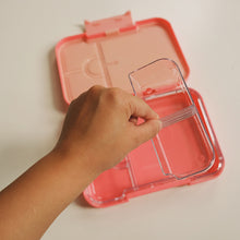 Load image into Gallery viewer, BAMBINA MUNCHBOX (bento lunchbox)